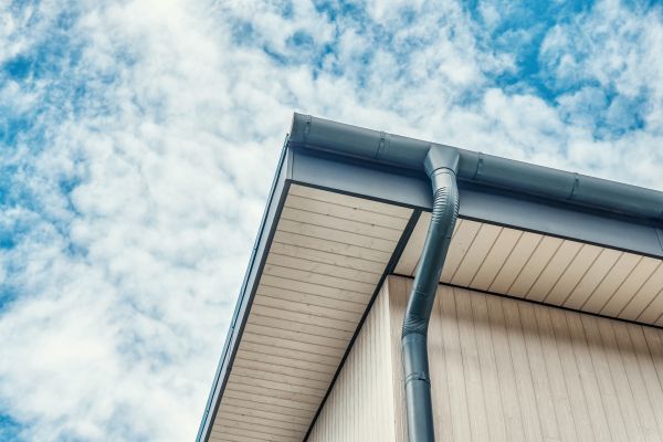 Gutter Fascia Repair in Griffin