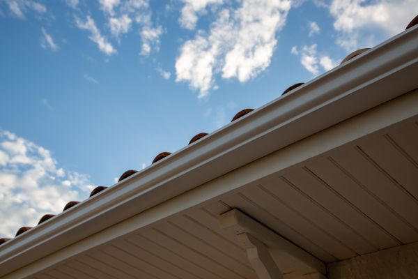 Cost of K Style Gutter Installation in Griffin